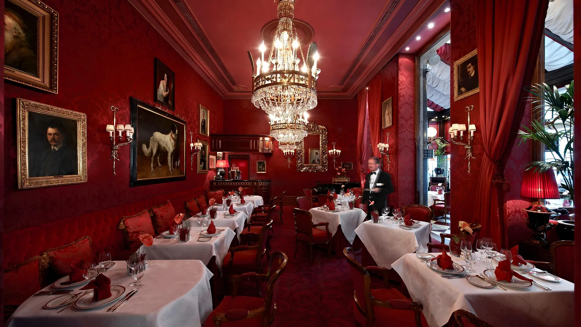 Hotel Sacher Wien וינה