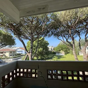 Casa Palma - 300mt Dal Mare Appartamento Marina di Massa